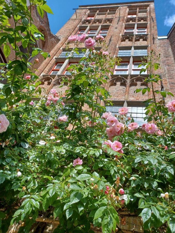 De Zomere B&B Brugge Dış mekan fotoğraf