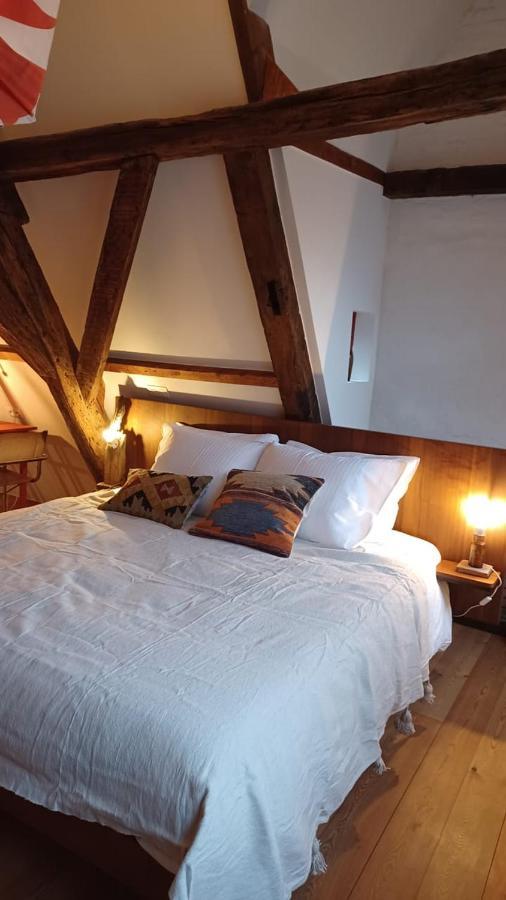 De Zomere B&B Brugge Dış mekan fotoğraf