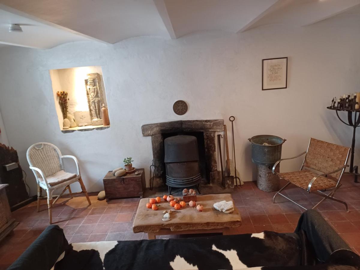 De Zomere B&B Brugge Dış mekan fotoğraf