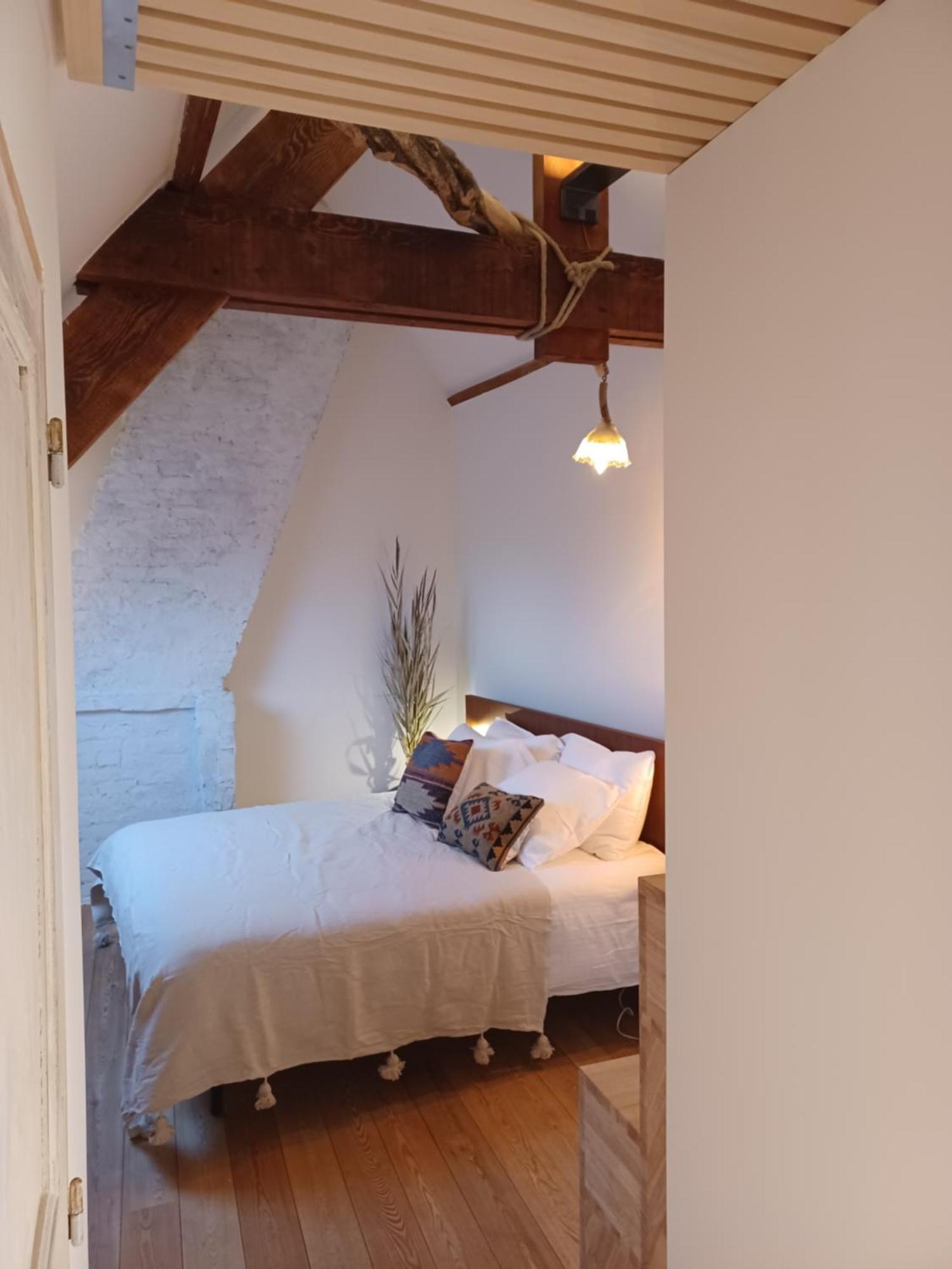 De Zomere B&B Brugge Oda fotoğraf